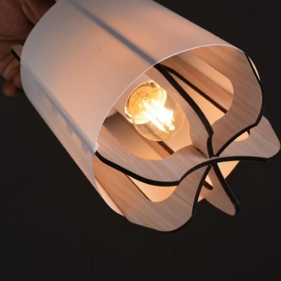 ΦΩΤΙΣΤΙΚΟ ZM170011P