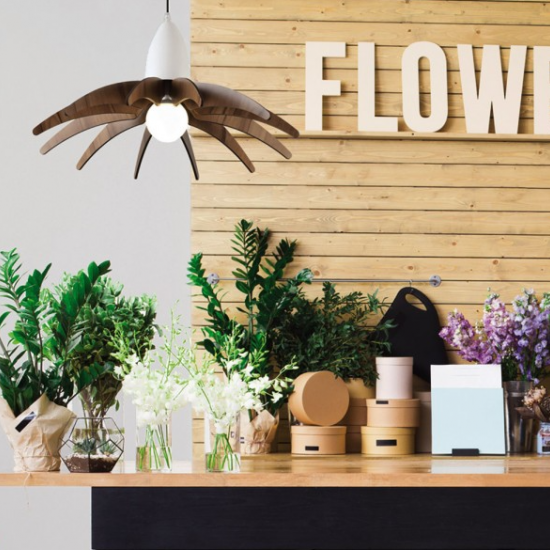 ΦΩΤΙΣΤΙΚΟ ZM170041P