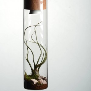 ΚΡΕΜΑΣΤΟ Φ/Σ 1ΧGU10 ΜΕΤΑΛΛΙΚΟ ΑΠΟΧΡΩΣΗ ΞΥΛΟΥ+ΓΥΑΛΙ Φ10ΧΗ120CM 