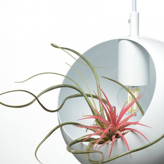 ΚΡΕΜΑΣΤΟ Φ/Σ 1ΧΕ27 ΜΕΤΑΛΛΙΚΟ ΛΕΥΚΟ Φ20XH120CM