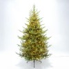 NATALE GLOW ΧΡΙΣΤΟΥΓΕΝΝΙΑΤΙΚΟ ΔΕΝΤΡΟ LED ΦΩΤΑ 155x155x210cm PE/PVC ΠΡΑΣΙΝΟ LED/COPPER
