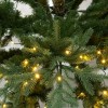 NATALE GLOW ΧΡΙΣΤΟΥΓΕΝΝΙΑΤΙΚΟ ΔΕΝΤΡΟ LED ΦΩΤΑ 155x155x210cm PE/PVC ΠΡΑΣΙΝΟ LED/COPPER