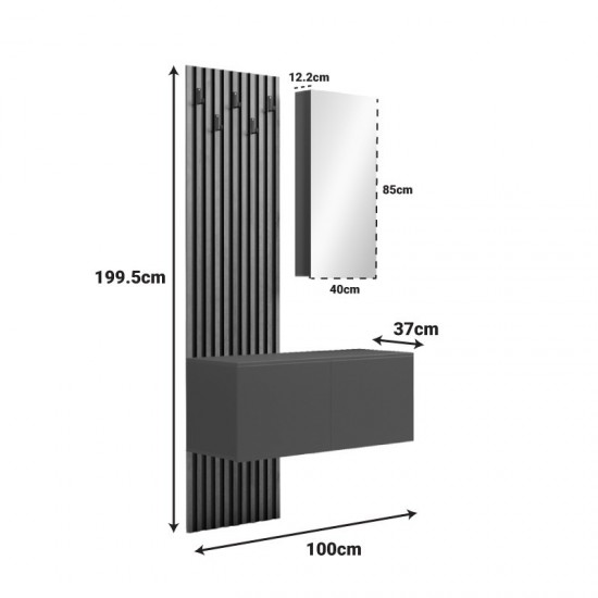 Έπιπλο εισόδου με καθρέπτη Arika σε oak-ανθρακί απόχρωση 100x37.1x199.5εκ