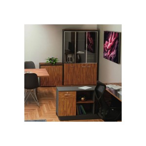 Ντουλάπα γραφείου με γυάλινες πόρτες Oscar καρυδί-ανθρακί 120x40x200εκ