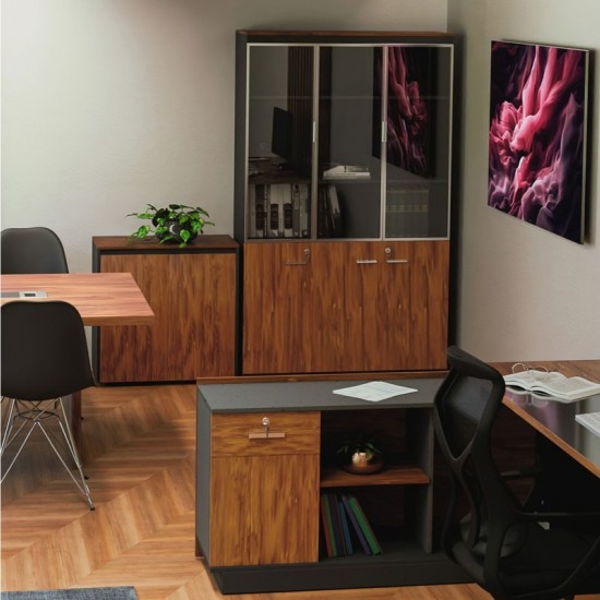 Ντουλάπα γραφείου με γυάλινες πόρτες Oscar καρυδί-ανθρακί 120x40x200εκ