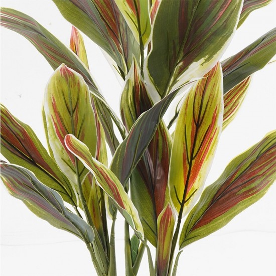 Διακοσμητικό φυτό σε γλάστρα Cycas πράσινο Φ55x80εκ