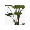 Διακοσμητικό φυτό σε γλάστρα Taro Plant πράσινο Φ90x180εκ
