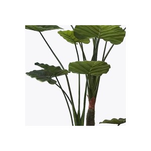 Διακοσμητικό φυτό σε γλάστρα Taro Plant πράσινο Φ90x180εκ