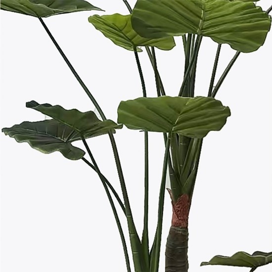 Διακοσμητικό φυτό σε γλάστρα Taro Plant πράσινο Φ90x180εκ