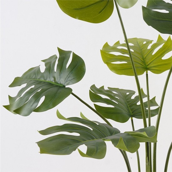 Διακοσμητικό φυτό σε γλάστρα Deliciosa πράσινο Φ94x120εκ