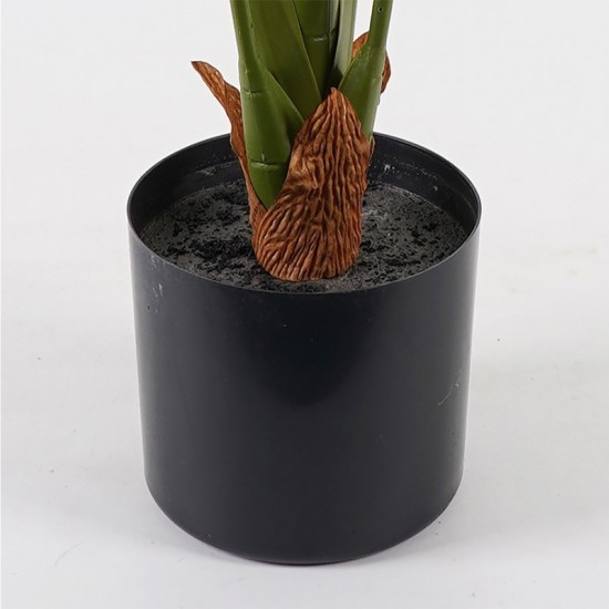 Διακοσμητικό φυτό σε γλάστρα Deliciosa πράσινο Φ94x120εκ