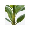 Διακοσμητικό φυτό σε γλάστρα Banono πράσινο Φ95x160εκ
