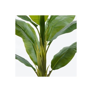 Διακοσμητικό φυτό σε γλάστρα Banono πράσινο Φ95x160εκ