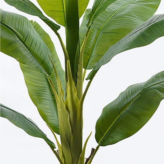 Διακοσμητικό φυτό σε γλάστρα Banono πράσινο Φ95x160εκ