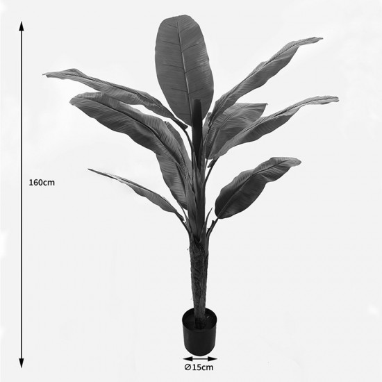 Διακοσμητικό φυτό σε γλάστρα Banono πράσινο Φ95x160εκ