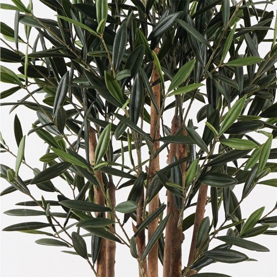 Διακοσμητικό φυτό σε γλάστρα Olia πράσινο Φ52x120εκ