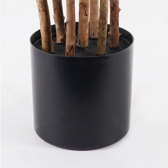 Διακοσμητικό φυτό σε γλάστρα Olia πράσινο Φ52x120εκ