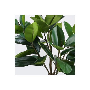 Διακοσμητικό φυτό σε γλάστρα Ficus Lyrata πράσινο Φ70x130εκ