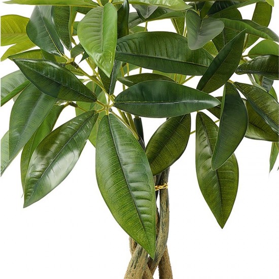 Διακοσμητικό φυτό σε γλάστρα Pachira πράσινο Φ40x60εκ