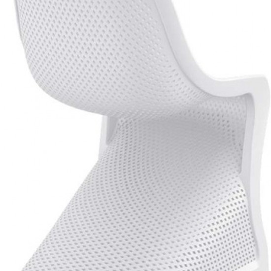 BLOOM WHITE ΚΑΡΕΚΛΑ ΠΟΛ/ΝΙΟΥ