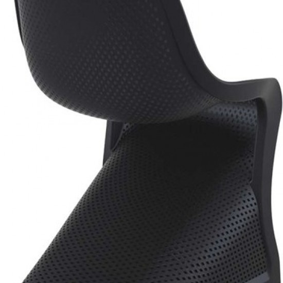 BLOOM BLACK ΚΑΡΕΚΛΑ ΠΟΛ/ΝΙΟΥ-SIESTA-BLOOM ΚΑΡΕΚΛΑ-ΚΑΡΕΚΛΑ-