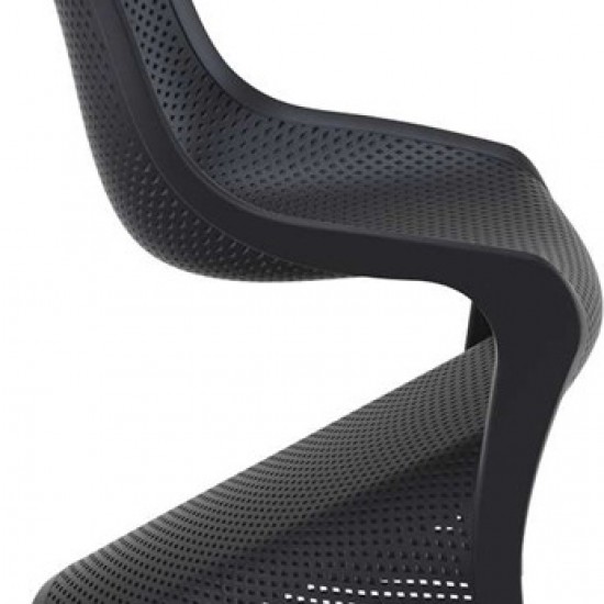 BLOOM BLACK ΚΑΡΕΚΛΑ ΠΟΛ/ΝΙΟΥ-SIESTA-BLOOM ΚΑΡΕΚΛΑ-ΚΑΡΕΚΛΑ-