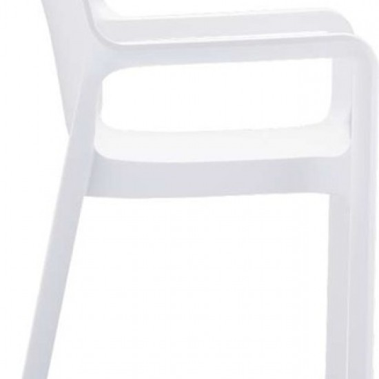 DIVA WHITE ΠΟΛΥΘΡΟΝΑ ΠΟΛ/ΝΙΟΥ