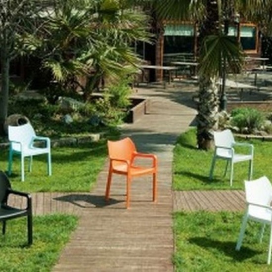 DIVA SILVER GREY ΠΟΛΥΘΡΟΝΑ ΠΟΛ/ΝΙΟΥ