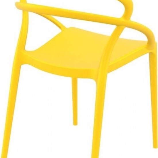 PIA YELLOW ΚΑΡΕΚΛΑ ΠΟΛ/ΝΙΟΥ