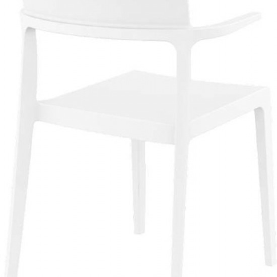 PLUS WHITE ΠΟΛΥΘΡΟΝΑ ΠΟΛ/ΝΙΟΥ