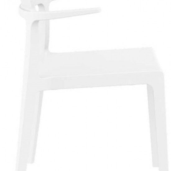 PLUS WHITE ΠΟΛΥΘΡΟΝΑ ΠΟΛ/ΝΙΟΥ