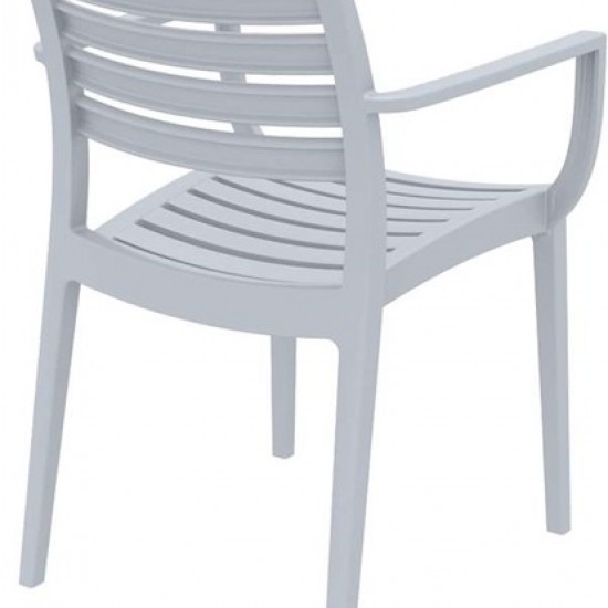 ARTEMIS SILVER GREY ΠΟΛΥΘΡΟΝΑ ΠΟΛΥΠΡΟΠΥΛΕΝΙΟΥ-artemis-siesta-zougris-diamantopoulos-epipla-khpos-wraio-artemis