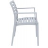 ARTEMIS SILVER GREY ΠΟΛΥΘΡΟΝΑ ΠΟΛΥΠΡΟΠΥΛΕΝΙΟΥ-artemis-siesta-zougris-diamantopoulos-epipla-khpos-wraio-artemis