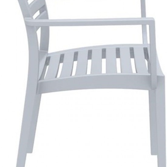 ARTEMIS SILVER GREY ΠΟΛΥΘΡΟΝΑ ΠΟΛΥΠΡΟΠΥΛΕΝΙΟΥ-artemis-siesta-zougris-diamantopoulos-epipla-khpos-wraio-artemis