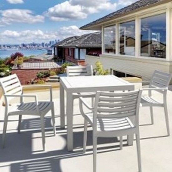 ARTEMIS SILVER GREY ΠΟΛΥΘΡΟΝΑ ΠΟΛΥΠΡΟΠΥΛΕΝΙΟΥ-artemis-siesta-zougris-diamantopoulos-epipla-khpos-wraio-artemis