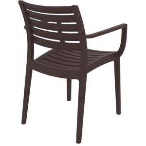 ARTEMIS BROWN ΠΟΛΥΘΡΟΝΑ ΠΟΛΥΠΡΟΠΥΛΕΝΙΟΥ