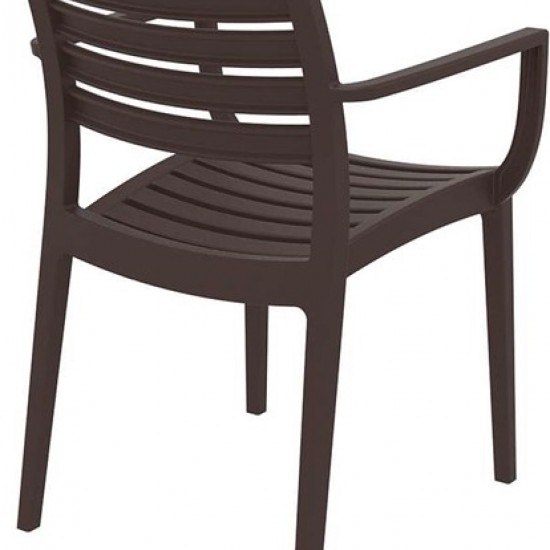 ARTEMIS BROWN ΠΟΛΥΘΡΟΝΑ ΠΟΛΥΠΡΟΠΥΛΕΝΙΟΥ-SIESTA-ARTEMIS-KAREKLA-DIAMADOPOULOS-