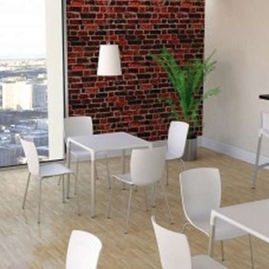 MIO WHITE(Σ6)ΚΑΡΕΚΛΑ ΒΑΦΗ