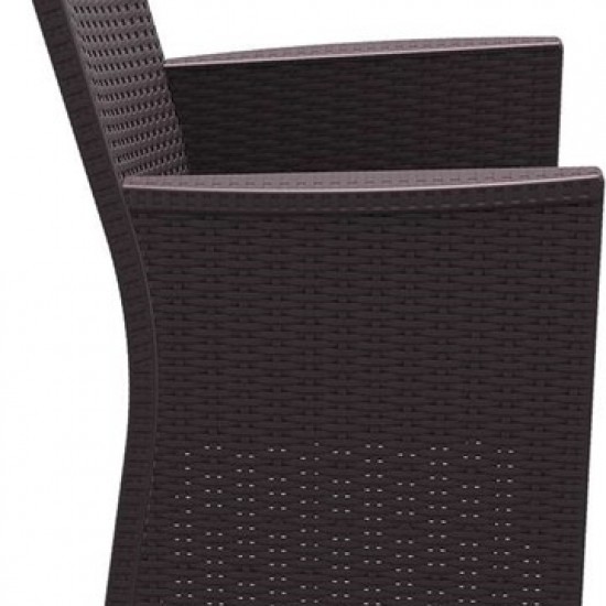 CALIFORNIA(Σ2)BROWN ΠΟΛΥΘΡΟΝΑ ΠΟΛ/ΝΙΟΥ