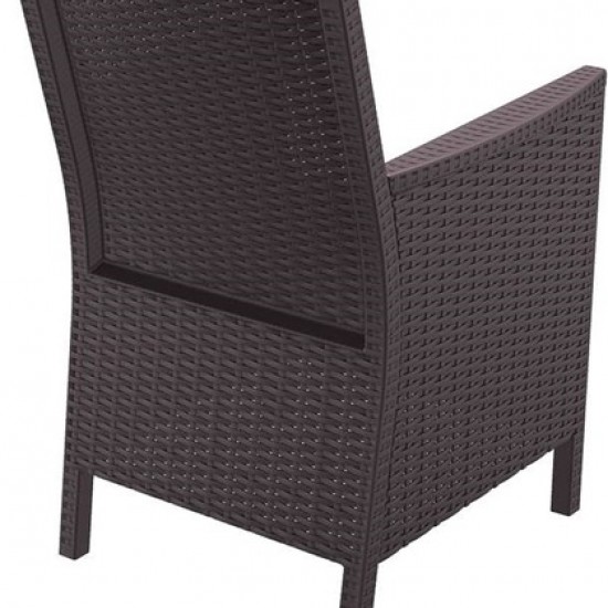 CALIFORNIA(Σ2)BROWN ΠΟΛΥΘΡΟΝΑ ΠΟΛ/ΝΙΟΥ