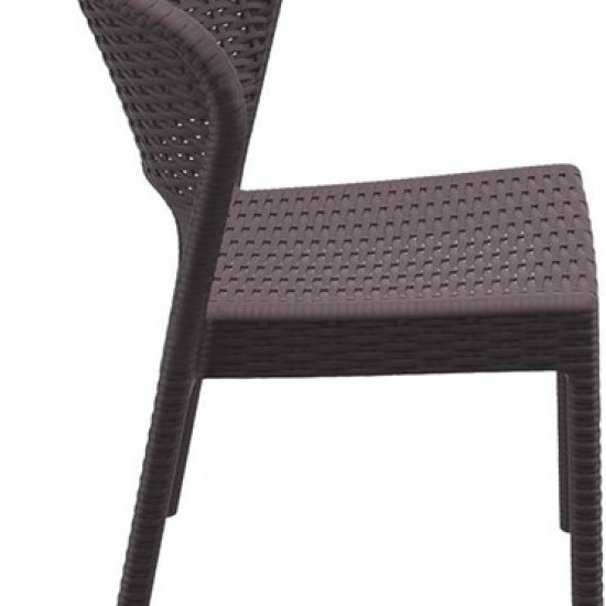 DAYTONA BROWN ΚΑΡΕΚΛΑ ΠΟΛ/ΝΙΟΥ