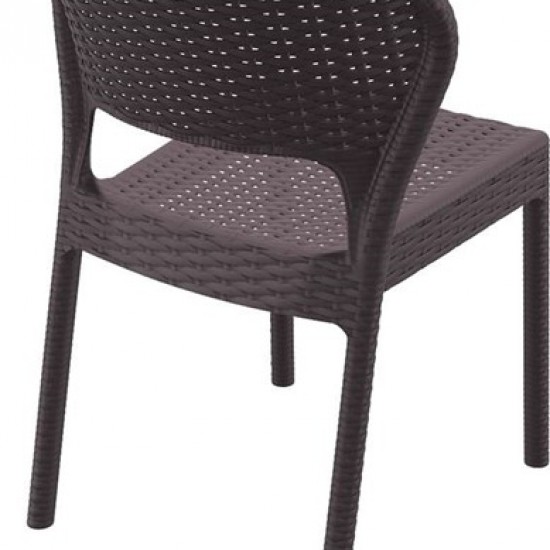 DAYTONA BROWN ΚΑΡΕΚΛΑ ΠΟΛ/ΝΙΟΥ